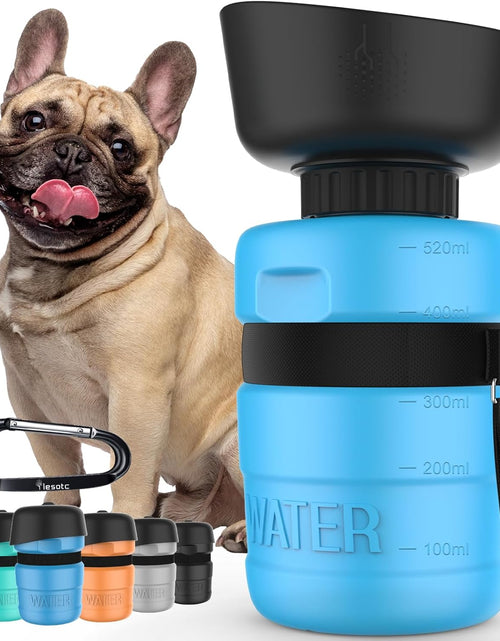 Load image into Gallery viewer, Pet Water Bottle for Dogs, Dog Water Bottle Foldable, Dog Travel Water Bottle, Dog Water Dispenser, Lightweight &amp; Convenient for Travel BPA Free
