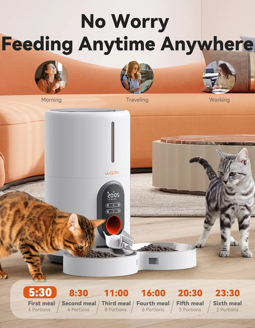 Load image into Gallery viewer, Automatic Cat Feeders for 2 Cats - Timed Dog Food Dispenser with Splitter and Two Stainless Bowls, Cat Feeders 10S Meal Call, 6 Meals per Day for Cats &amp; Small Dogs, Black
